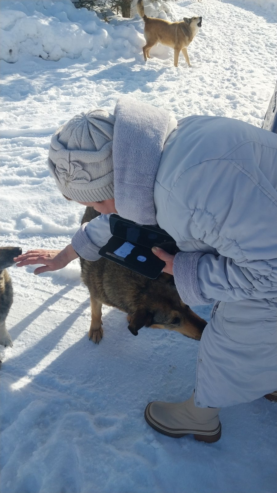 УЗ «Новополоцкая центральная городская больница» проявили замечательную инициативу, привезя корм для бездомных животных в приют «Шанс».