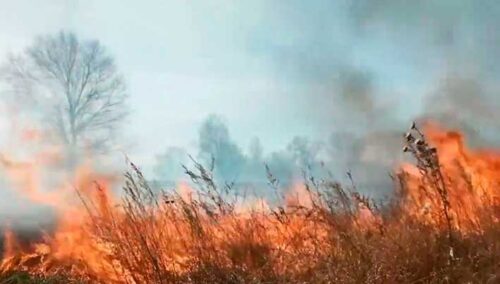 Чтобы наведение порядка на подворье не обернулось трагедией: советы спасателей