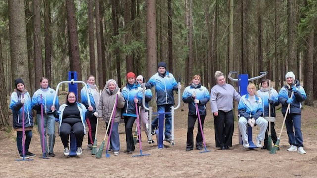 🌳 Измерительский лес — для всех!