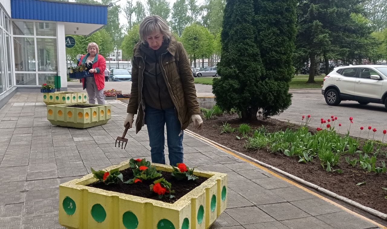 Символ созидания, заботы и красоты