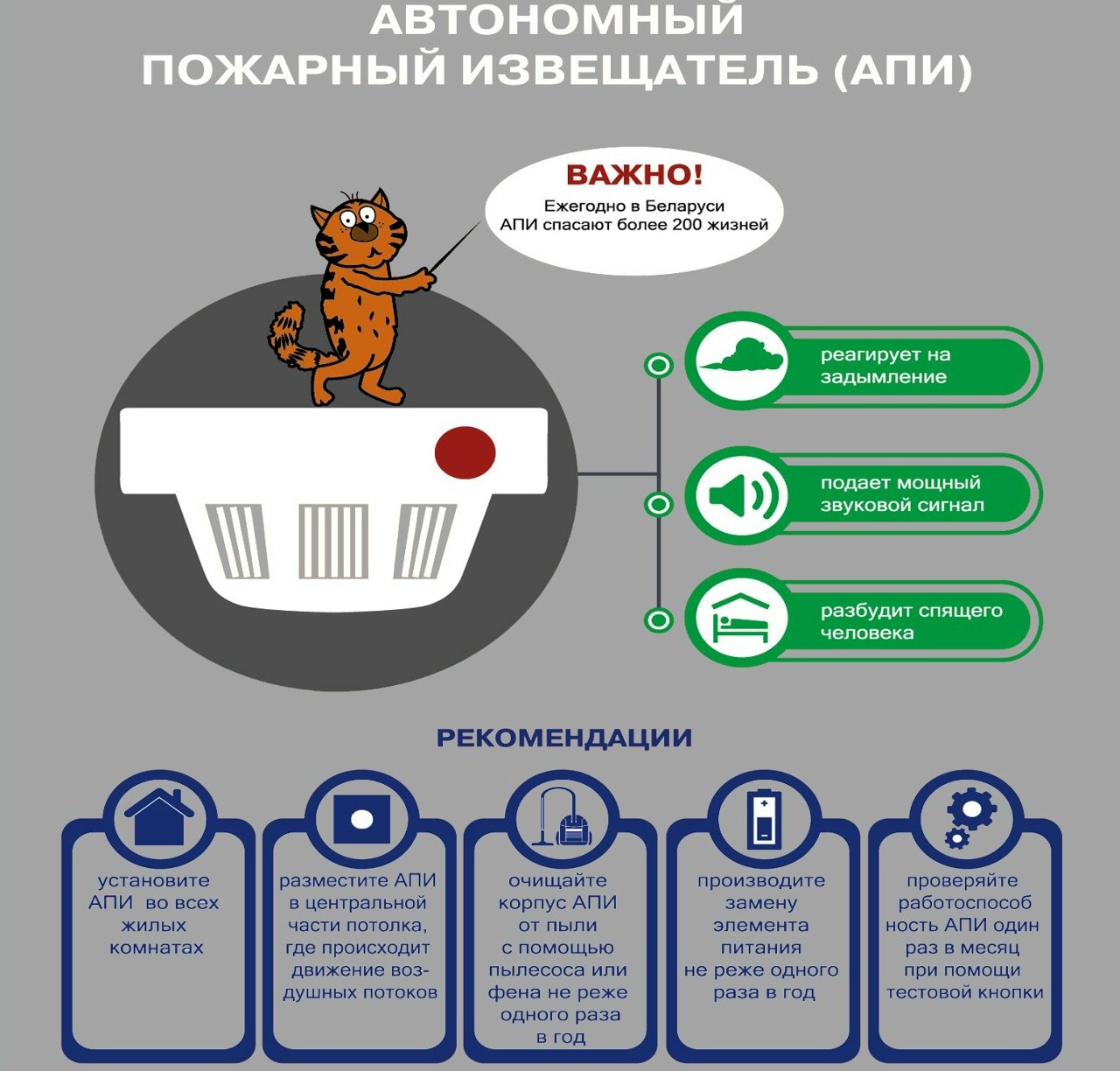 Тихий страж АПИ